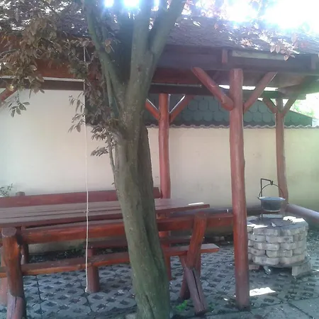 Tulipan Vendeghaz