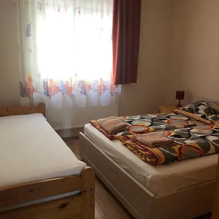 Tulipan Vendeghaz Daire Hajdúszoboszló