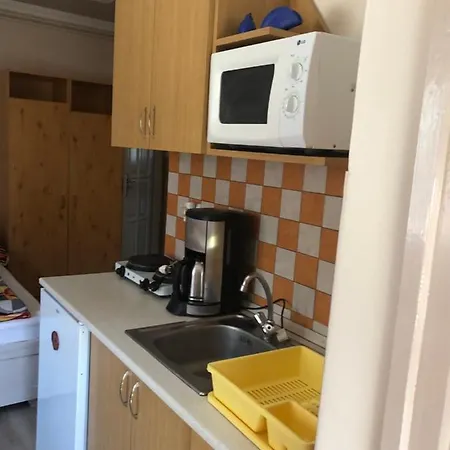 Tulipan Vendeghaz Daire