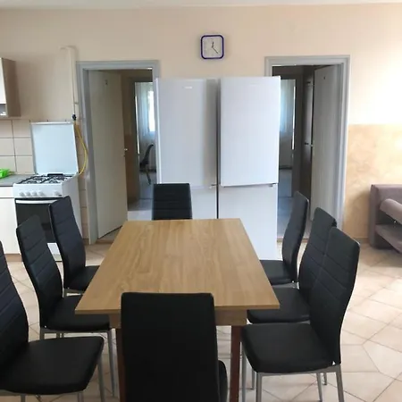 Tulipan Vendeghaz Hajdúszoboszló