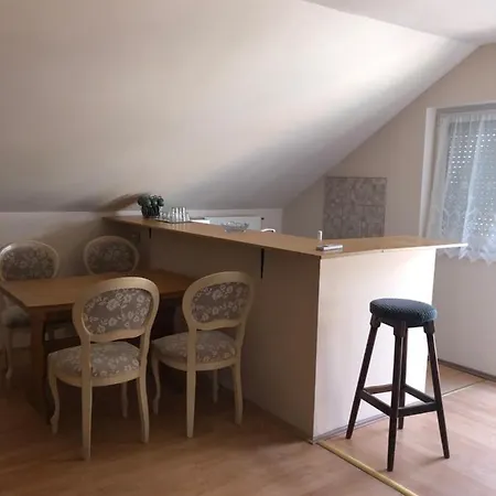 Daire Tulipan Vendeghaz *