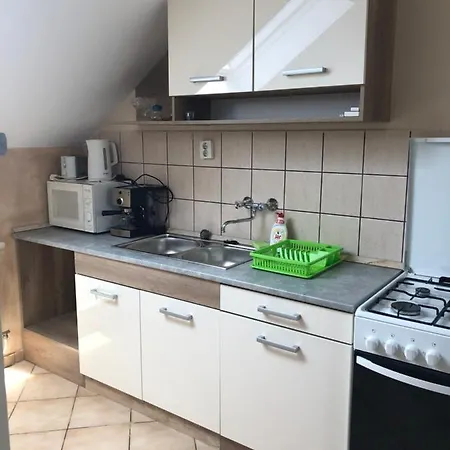 Tulipan Vendeghaz Daire *