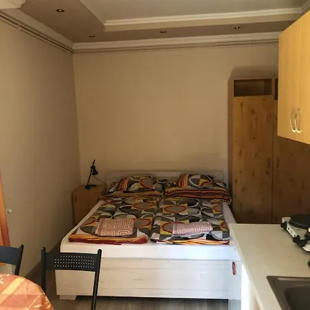 Tulipan Vendeghaz Daire