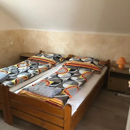 Daire Tulipan Vendeghaz *