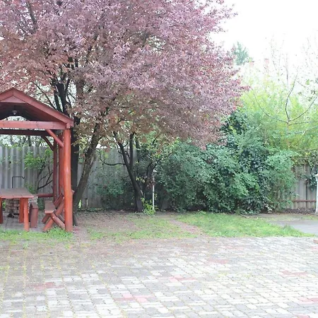 Tulipan Vendeghaz Daire *