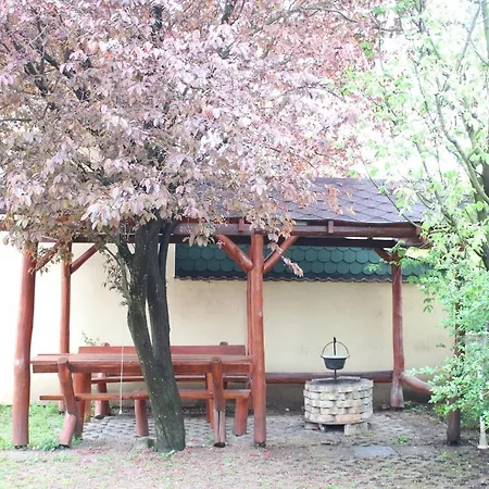 Tulipan Vendeghaz Daire Hajdúszoboszló