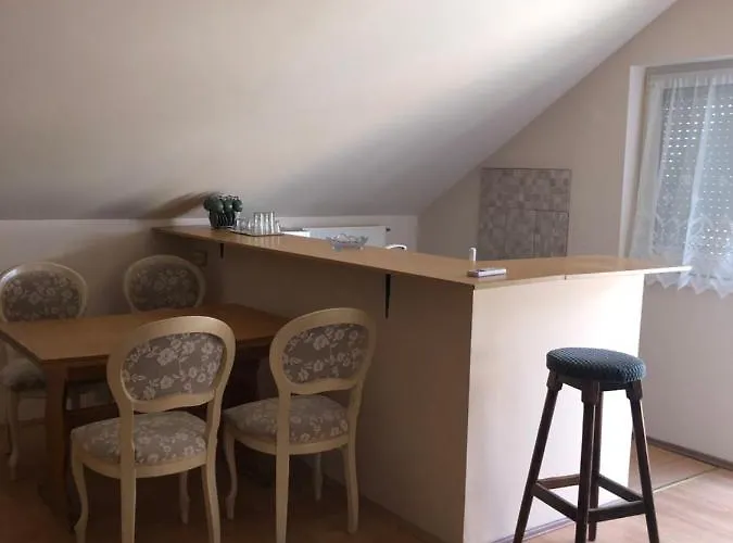 Apartment Tulipan Vendeghaz *